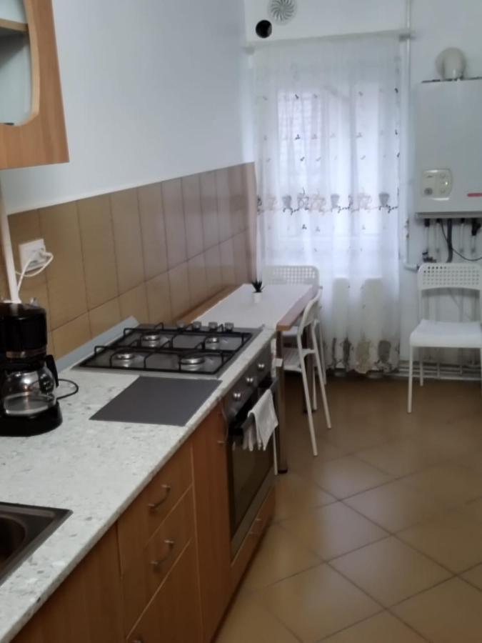 Appartement Mirimar à Gura Humorului Extérieur photo